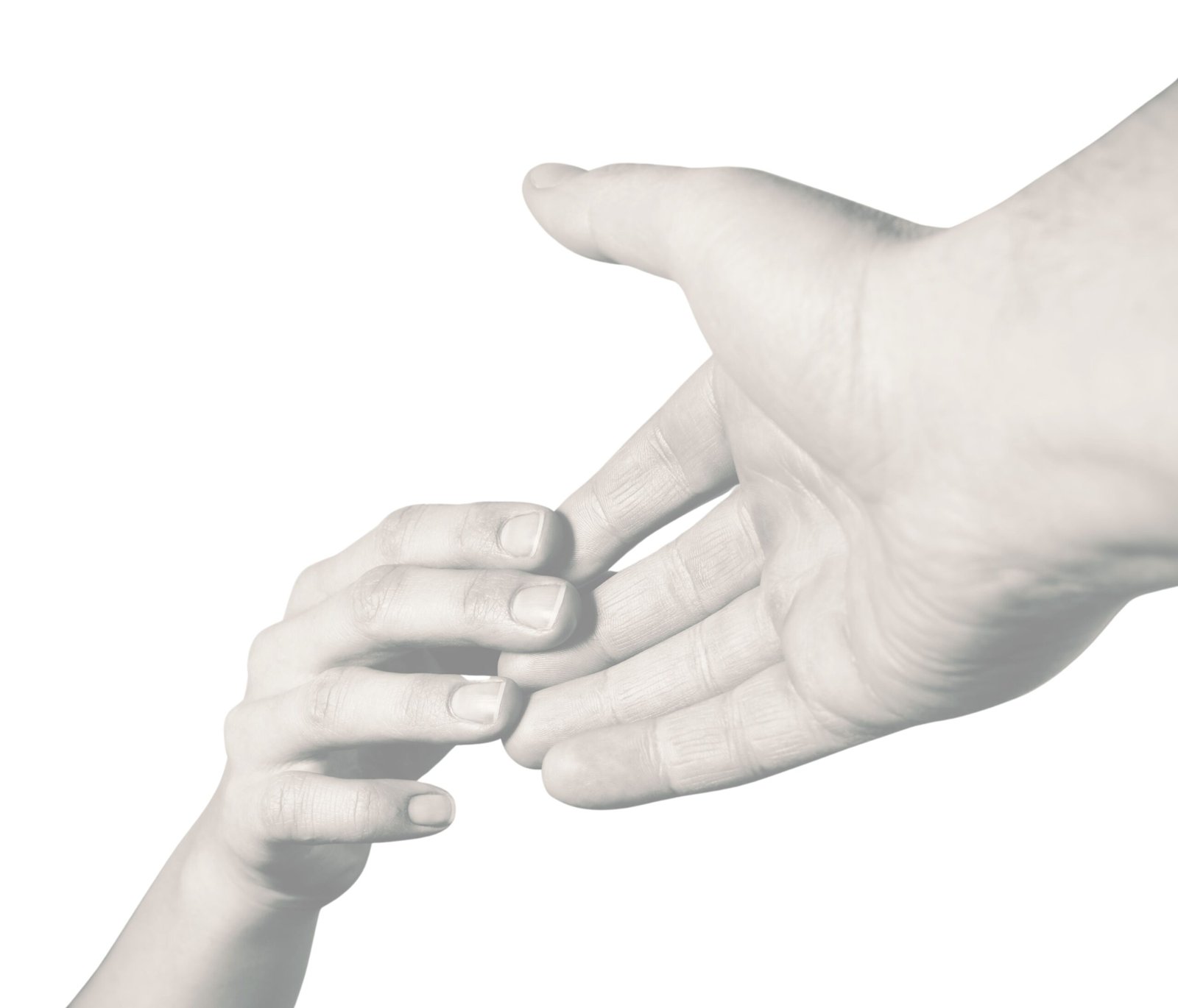 Sesión de orientación